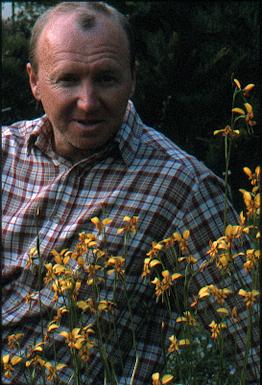 Easter 2002with Diuris emarginata X corymbosa